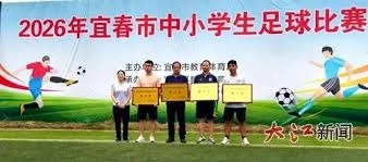 中超控股股价涨停背后的多重驱动分析